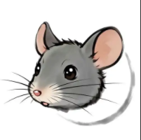 https://file.dongqiumao.com/storage/profile/20250825/hi18.png
